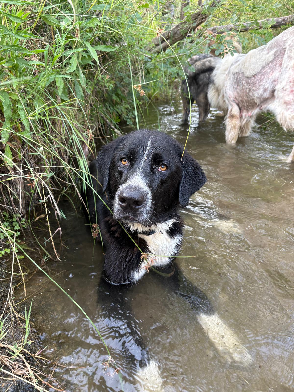 WhatsApp Image 2026-07-13 at 15.45.49